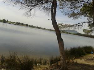 LAC DE SIDI MOHAMMED BEN ALI