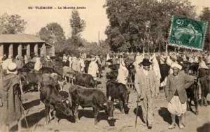 Photo Tlemcen : Le marché Arabe