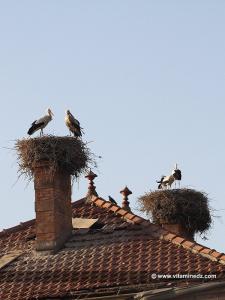Cheminée sur le toit d\'une maison  Les cigognes l\'Algérie leur pays naturel