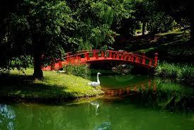 مناضر طبيعية