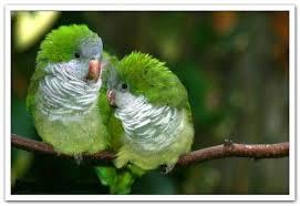 مناضر طبيعية