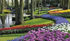 جمال الطبيعة