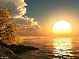 اجمل  الصور