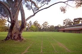 اجمل  الصور