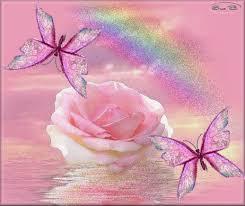 اجمل  الصور