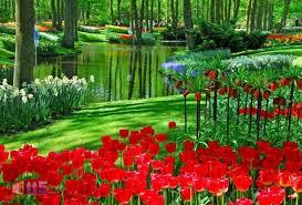 اجمل  الصور