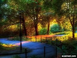 اجمل  الصور