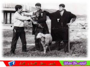 LES AMIS D ' ENFANCE