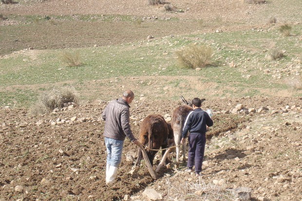 Vu à M’sila -  Tant qu’il y aura des hommes…