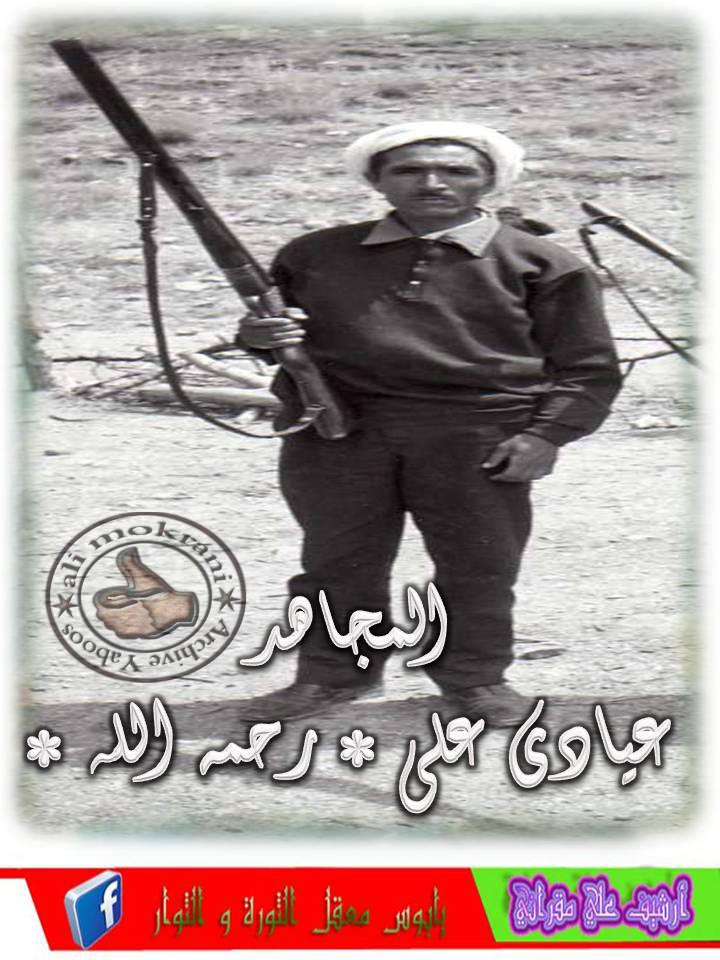EL MOUDJAHID AYADI ALI