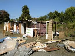 Alger - Gestion des espaces forestiers: Quatre bidonvilles dans les forêts