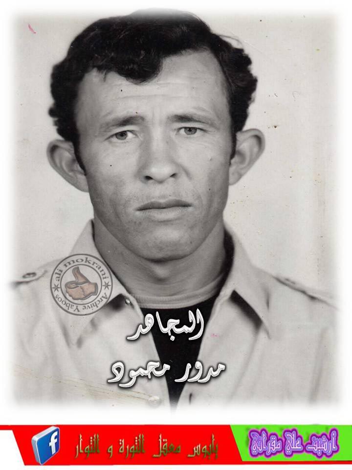 EL MOUDJAHAD MEDDOUR MAHMOUD