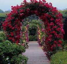 جمال الطبيعة