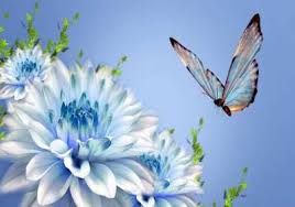 جمال الطبيعة