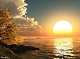 اجمل  الصور