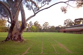 اجمل  الصور