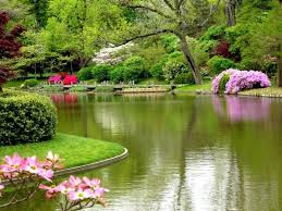 اجمل  الصور