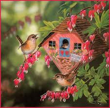 اجمل  الصور