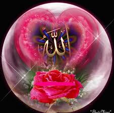 اجمل  الصور