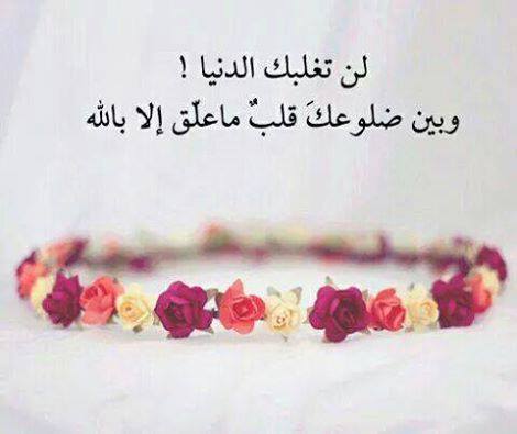 اجمل  الصور