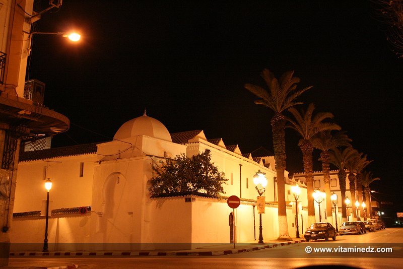 La grande Mosquée trop calmepar un Mouled à Tlemcen, les zaouias prennent le relai