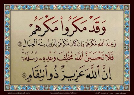 اجمل  الصور