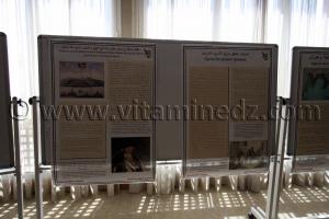 Colloque  Les relations algéro-espagnoles à l’époque de l’écrivain Miguel de Cervantès (1547-1616)