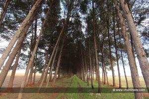Sidi Belabbess : Un petit coin de paradis, juste avant la station sidi Yakoub de l'autoroute Est Ouest