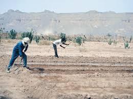Les paysans de 36 wilayas réunis hier à Boumerdès: La mafia du foncier pointée du doigt