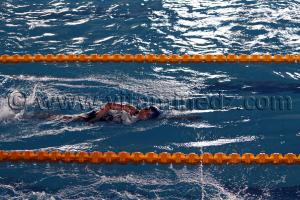 Piscine de Tlemcen - Natation exhibition régionale (Enfants de Tlemcen, Sebdou, Remchi)