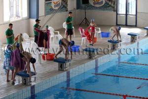 Piscine de Tlemcen - Natation exhibition régionale (Enfants de Tlemcen, Sebdou, Remchi)