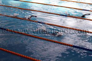 Piscine de Tlemcen - Natation exhibition régionale (Enfants de Tlemcen, Sebdou, Remchi)