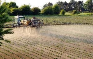 Planète - OMS: 5 pesticides classés cancérogènes «probables» ou «possibles»