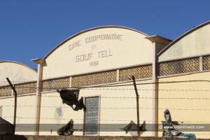 Ain Temouchent, Chabat El Lham cave coopérative Souf Tell 1958