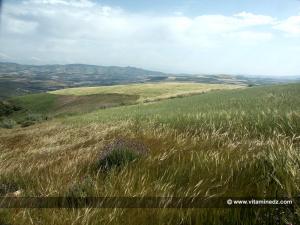 Sur les traces du Mausolée royal  de Syphax roi de Siga (Wilaya Aïn Témouchent)