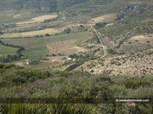 Sidi Mehdi vue du Mausolée royal  de Syphax roi de Siga (Wilaya Aïn Témouchent)