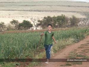 Enfant d\'el Bradej, Béni Saf, région agricole