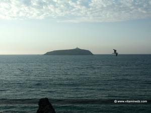 L'ile de Rachgoun, endroit touristique par excellence