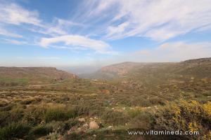 Les Monts de Tlemcen