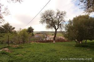Cimetière et Darih (Mausolée) Sidi Afif Eddine Ettilimssani (13e siecle)