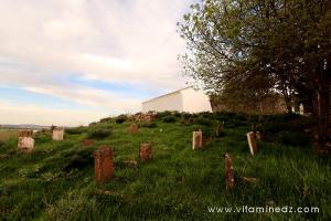 Cimetière et Darih (Mausolée) Sidi Afif Eddine Ettilimssani (13e siecle)