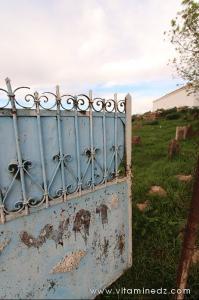 Porte Cimetière et Darih (Mausolée) Sidi Afif Eddine Ettilimssani (13e siecle)