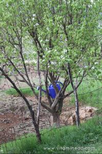 Jardin Darih (Mausolée) Sidi Afif Eddine Ettilimssani (13e siecle)