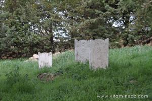 Cimetière et Darih (Mausolée) Sidi Afif Eddine Ettilimssani (13e siecle)