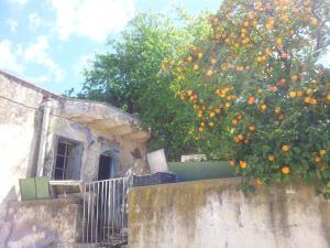 Vieille maison à El Ourit