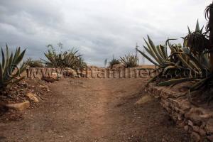 Portus Magnus (Bethioua, St Leu) ou ce qu\'il en reste ... (Wilaya d\'Oran)