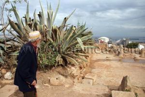 Un vieil homme de Portus Magnus (Bethioua, St Leu) ou ce qu\'il en reste ... (Wilaya d\'Oran)