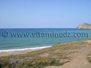 Bouzedjar, Port et plage (W. Ain Temouchent)