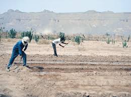 Les paysans de 36 wilayas réunis hier à Boumerdès: La mafia du foncier pointée du doigt