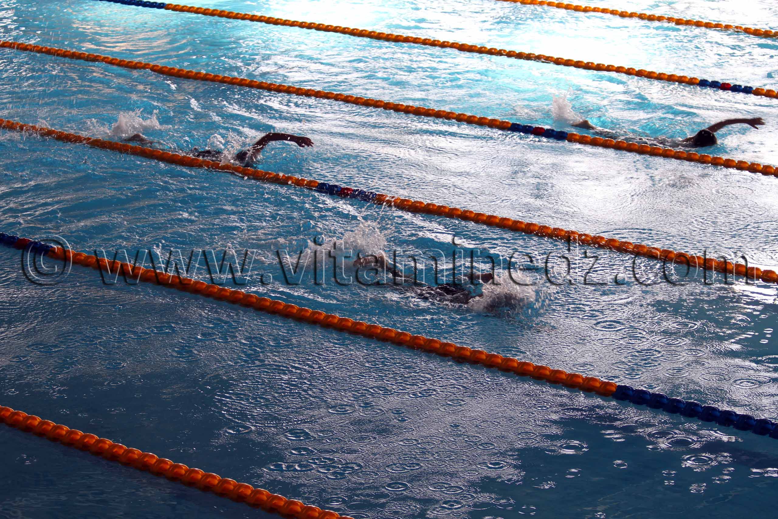 Piscine de Tlemcen - Natation exhibition régionale (Enfants de Tlemcen, Sebdou, Remchi)